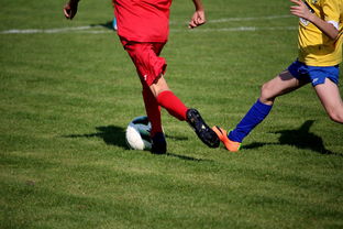 mk体育app-LPL多个队伍重组计划曝光转会期极度混乱，lpl战队转会期