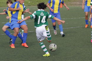 MK在线服务-女子冰球赛中，中国女队逆转韩国展现强大实力，中国女子冰球联赛